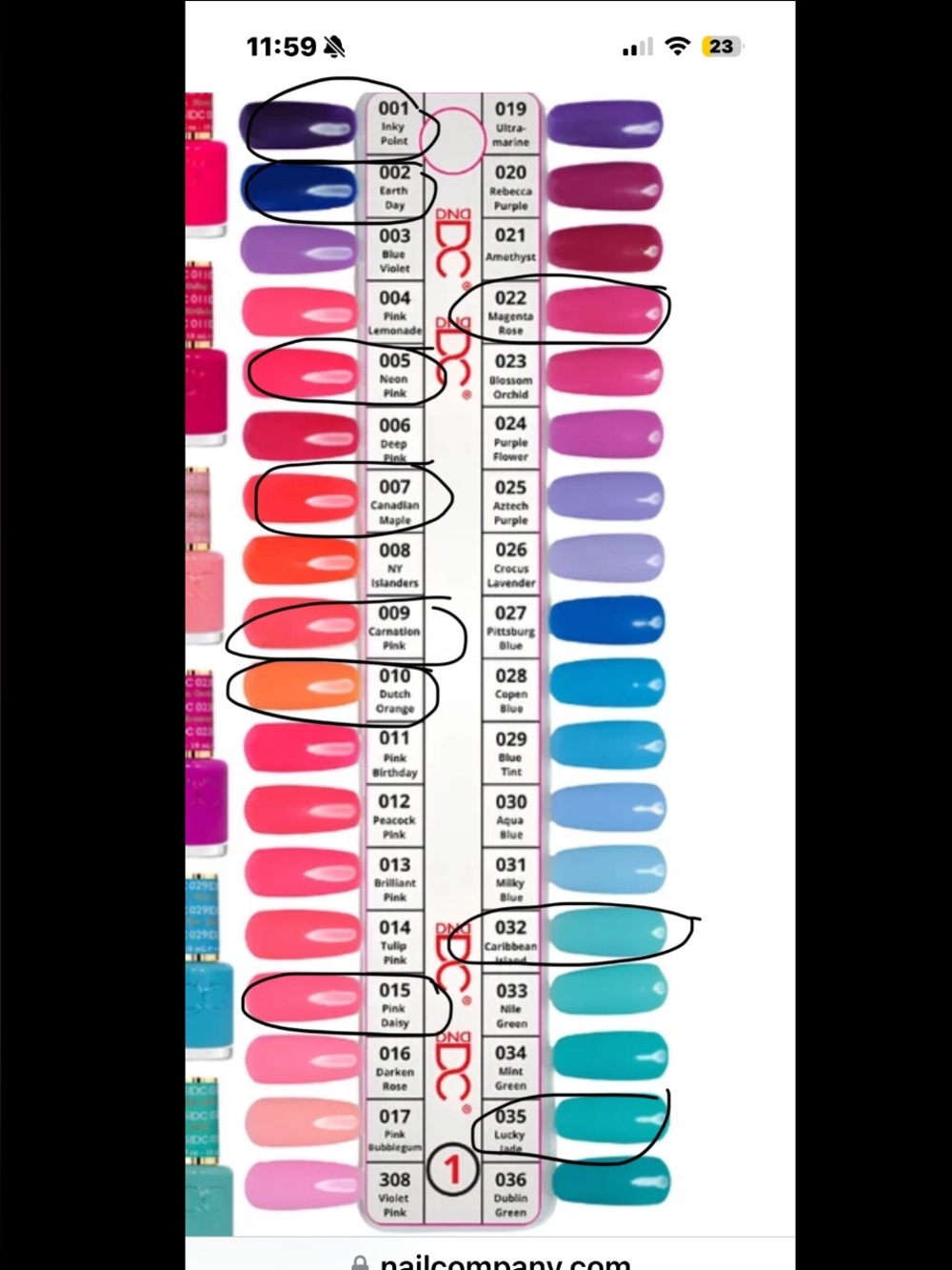 NailCompany Gel Polish Color Sample - Teal & Pink Shades